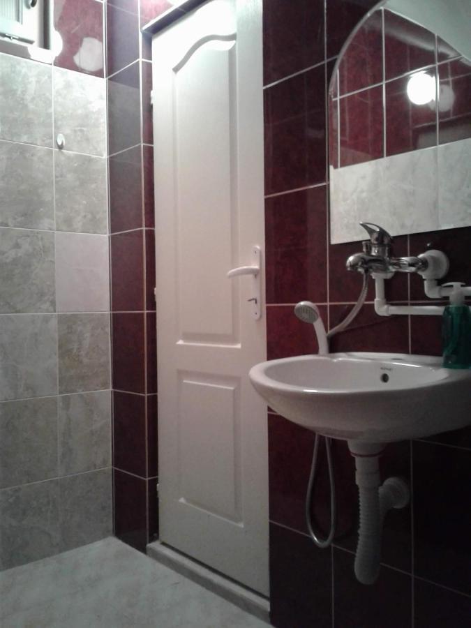 Privatan smestaj knjazevac Bagian luar foto