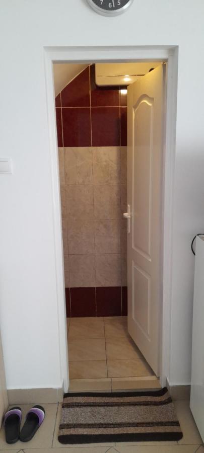 Privatan smestaj knjazevac Bagian luar foto