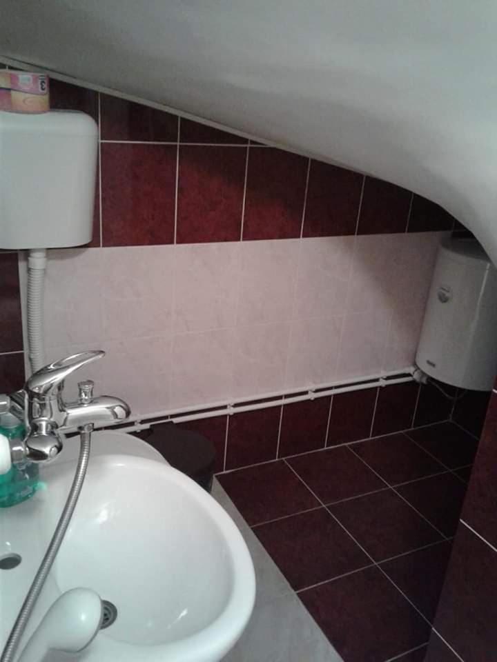 Privatan smestaj knjazevac Bagian luar foto