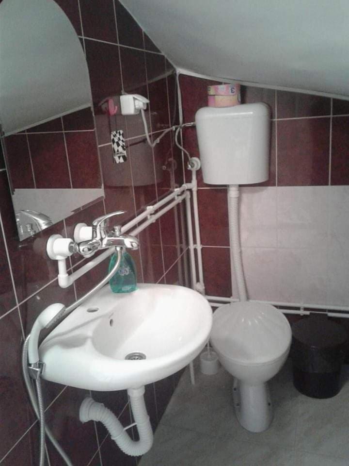 Privatan smestaj knjazevac Bagian luar foto