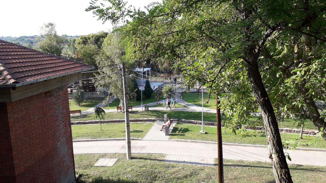 Privatan smestaj knjazevac Bagian luar foto