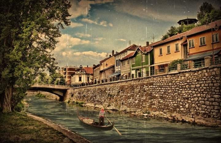 Privatan smestaj knjazevac Bagian luar foto